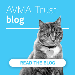 Read the AVMA Trust Blog